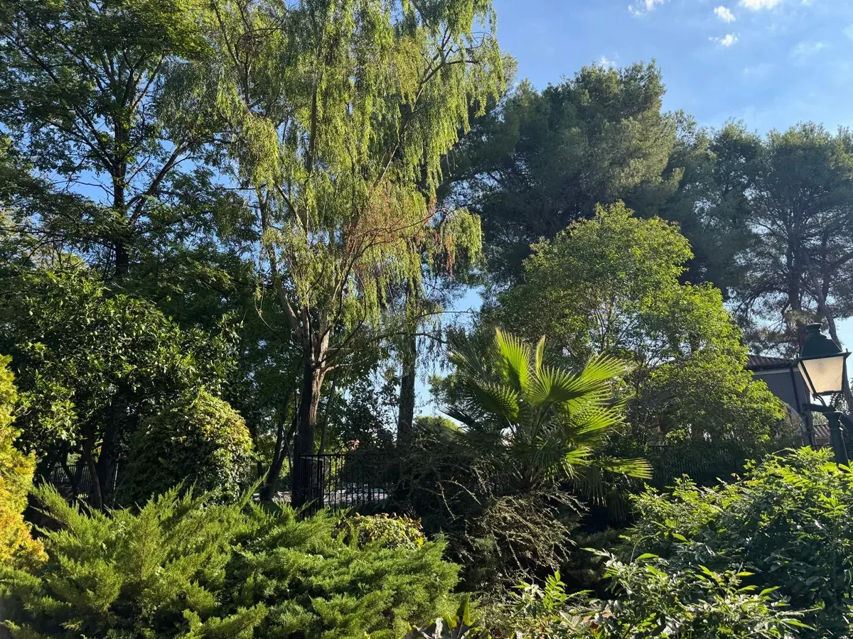 Árboles, palmeras y vegetación de los jardines de Termes Montbrió